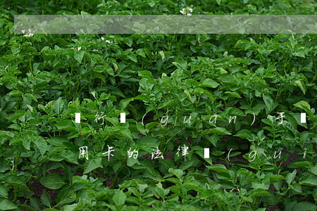 銀行關(guān)于儲(chǔ)蓄卡信用卡的法律規(guī)定-銀行關(guān)于儲(chǔ)蓄卡信用卡的法律規(guī)定有哪些
