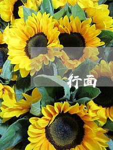 銀行面試信用卡逾期