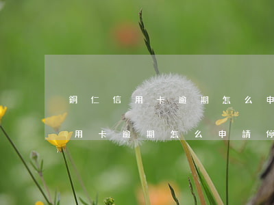 銅仁信用卡逾期怎么申請停息掛賬-銅仁信用卡逾期怎么申請停息掛賬的