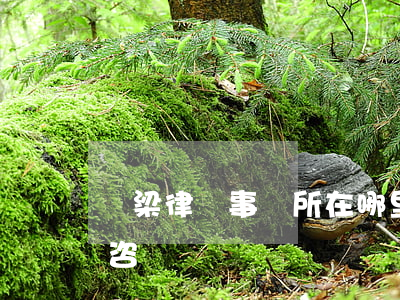 銅梁律師事務所在哪里(銅梁律師事務所免費咨詢)