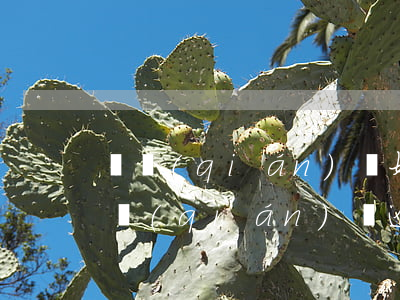 銅錢(qián)貸好通過(guò)嗎（銅錢(qián)貸逾期還款）