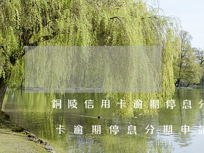 銅陵信用卡逾期停息分期申請條件(銅陵信用卡逾期停息分期申請條件)