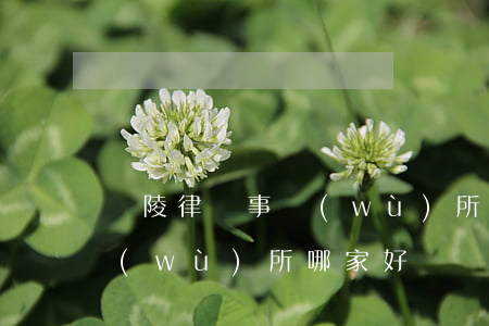 銅陵律師事務(wù)所排名(銅陵律師事務(wù)所哪家好)