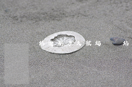 銭站逾期多久被起訴(銭站逾期多久被起訴)