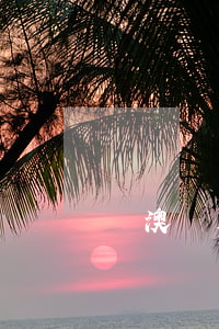 銳澳雞尾酒算酒駕嗎？