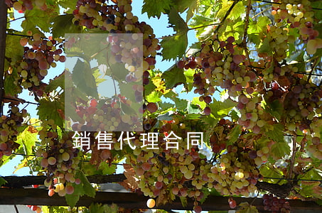 銷售代理合同