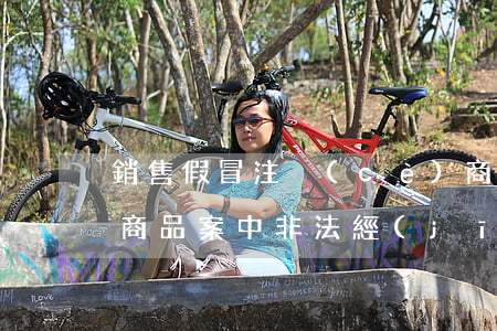 銷售假冒注冊(cè)商標(biāo)的商品案中非法經(jīng)營(yíng)數(shù)額的認(rèn)定