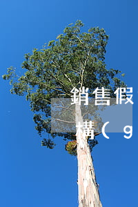 銷售假冒注冊商標(biāo)的商品罪的構(gòu)成要件有哪些