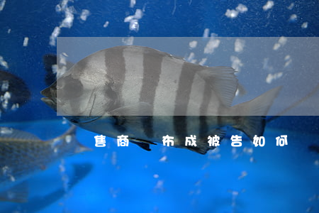 銷售商賣布成被告如何維權(quán)