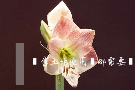 銷售土地使用權都需要繳納哪些方面的稅收