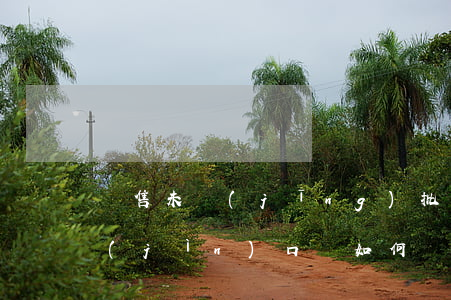 銷售未經(jīng)批準(zhǔn)進(jìn)口藥如何處罰