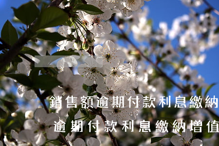 銷售額逾期付款利息繳納增值稅嗎-銷售額逾期付款利息繳納增值稅嗎怎么算