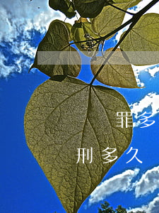 銷贓罪多少金額要判刑(銷贓罪多少金額要判刑多久)