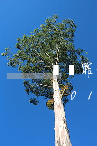銷贓罪量刑標(biāo)準(zhǔn)2017