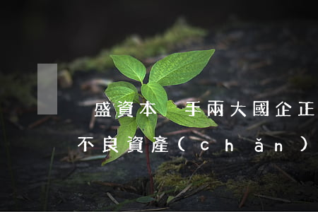 鋆盛資本攜手兩大國企,正式進(jìn)軍不良資產(chǎn)市場