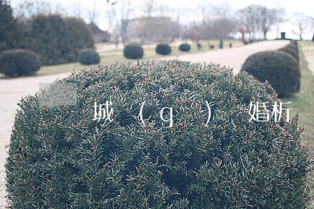 鋼城區(qū)離婚析產(chǎn)律師