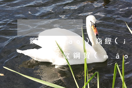 鋼貿(mào)商經(jīng)營虧損還不起貸款(鋼貿(mào)行業(yè)融資)