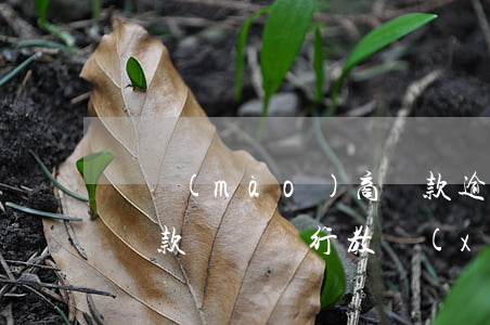 鋼貿(mào)商貸款逾期(鋼貿(mào)貸款壞賬 銀行教訓(xùn))