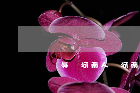 錄視頻辱罵河南人(罵河南人的原視頻)