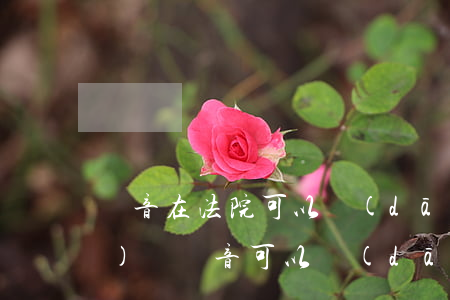 錄音在法院可以當(dāng)證據(jù)嗎(錄音可以當(dāng)成證據(jù)嗎)