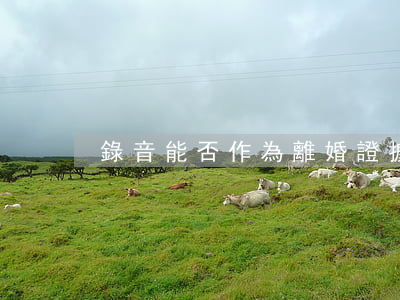 錄音能否作為離婚證據(jù)使用