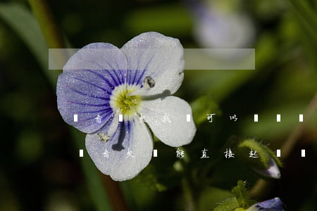 錄音說欠我錢可以當證據(jù)嗎?（一句話錄音欠錢能直接起訴嗎）