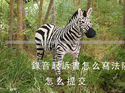 錄音起訴書怎么寫(法院起訴錄音證據(jù)怎么提交)