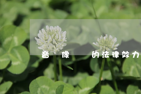 錄音錄像遺囑的法律效力