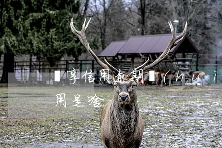 錘享信用逾期會(huì)被起訴嗎(錘享信用是啥)