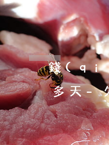 錢(qián)支付寶6000逾期800多天-欠支付寶6000逾期800多天