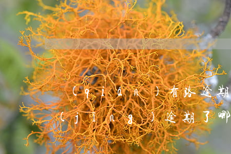 錢(qián)有路逾期5天還能借嘛(已經(jīng)逾期了哪里還能借到錢(qián))