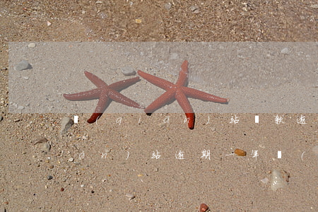 錢(qián)站貸款逾期一年了(錢(qián)站逾期一年會(huì)怎么辦?)