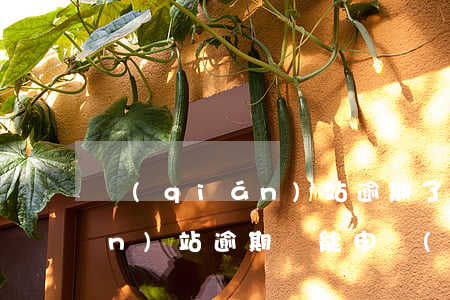 錢(qián)站逾期了怎么辦（錢(qián)站逾期還能申請(qǐng)嗎）