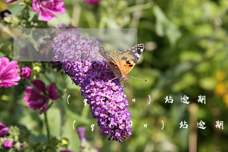 錢(qián)站逾期會(huì)怎么樣（錢(qián)站逾期信用卡有關(guān)系嗎）