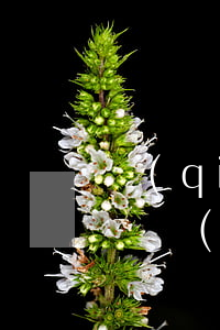錢(qián)站逾期還款期數(shù)變長(zhǎng)了(錢(qián)站逾期四個(gè)月了怎么辦?)