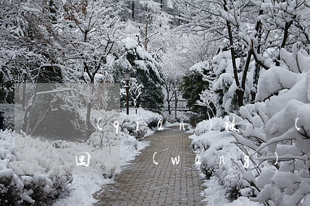 錢(qián)被騙報(bào)警了能追回嗎(網(wǎng)絡(luò)上被騙了錢(qián)報(bào)警了不知道錢(qián)能不能追回)