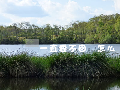 錢一直要不回來怎么辦(錢要不回來咋辦)