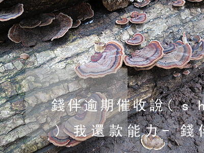 錢伴逾期催收說(shuō)核實(shí)我還款能力-錢伴逾期催收說(shuō)核實(shí)我還款能力是真的嗎