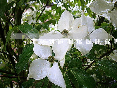 錢來到逾期爆通訊錄嗎(來錢花逾期幾天轟炸)
