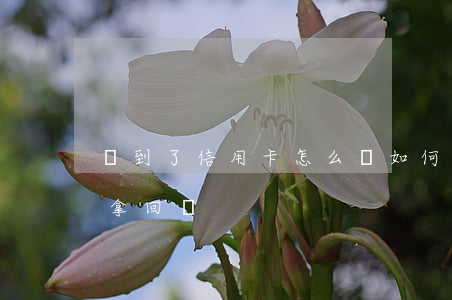 錢到了信用卡怎么辦（如何把信用卡逾期的錢拿回來）