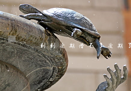 錢到到逾期借不了(逾期了借不了錢怎么辦)