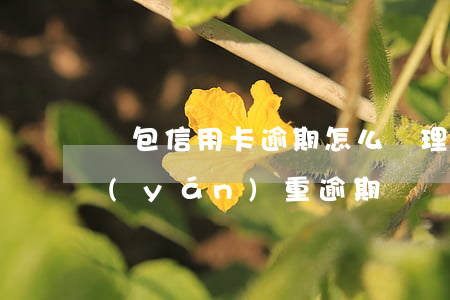錢包信用卡逾期怎么處理(信用錢包信用卡嚴(yán)重逾期)