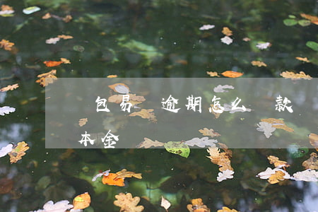 錢包易貸逾期怎么還款(錢包易貸逾期只想還本金)