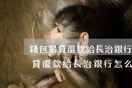 錢包易貸還款給長治銀行怎么還款-錢包易貸還款給長治銀行怎么還款的