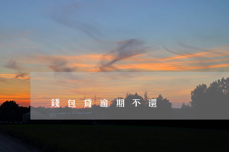 錢包貸逾期不還