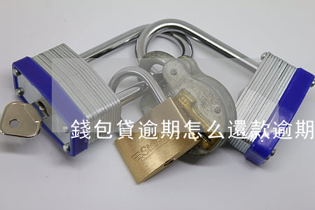 錢包貸逾期怎么還款(逾期的錢怎么還款)