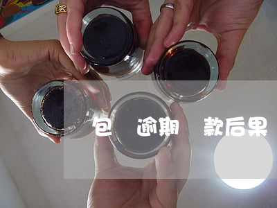 錢包貸逾期還款后果(錢包易貸逾期案例)