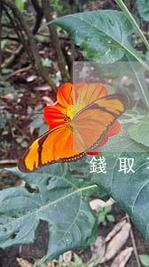 錢取不出來(lái)老公和我離婚怎么辦