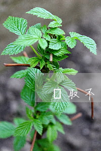 錢取不出來老公和我離婚怎么辦