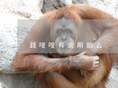 錢嗖嗖有逾期的么